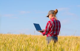 Girl farmer standing in a wheat field with a laptop.