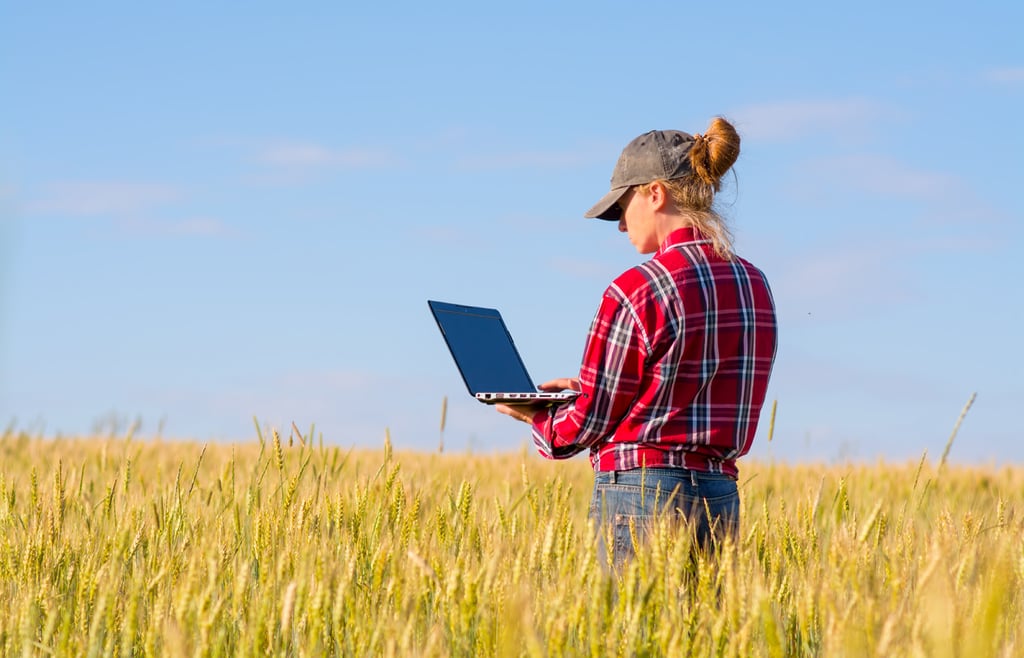 6 Best Farm Accounting Software