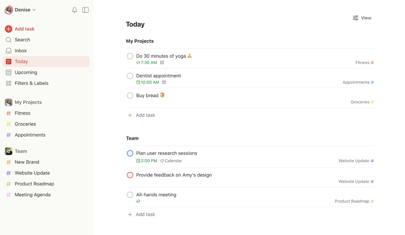 Todoist’s simple interface makes it easy to separate tasks by type.