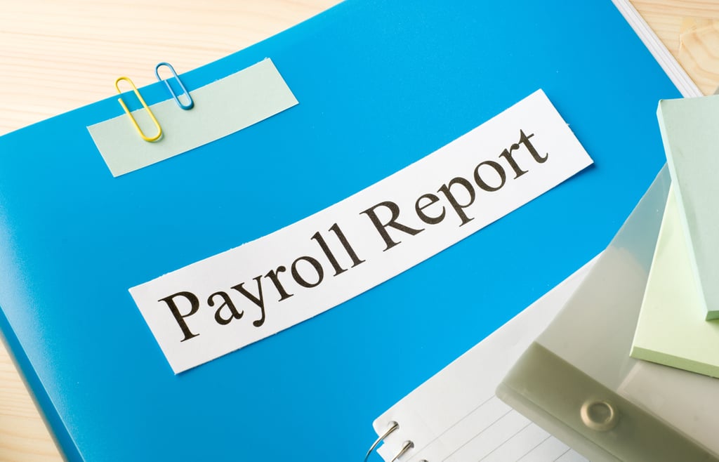 What Is a Payroll Report? Types and How to Use Them