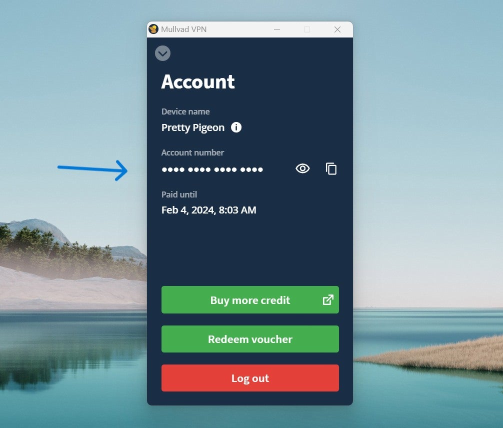 My personal Mullvad VPN account number on the app.