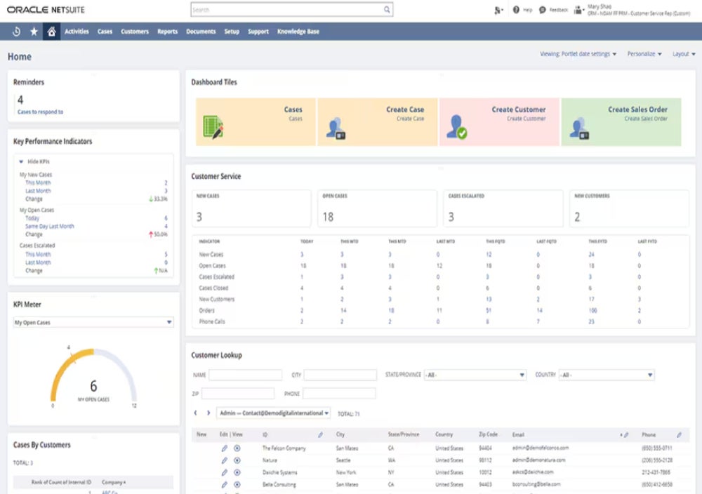 Sample NetSuite CRM support dashboard.