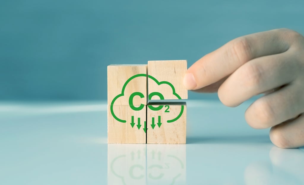 Do Greenhouse Gas Emissions Credits Skew Sustainability Reporting?