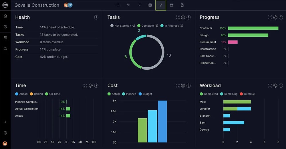 Project health, task, progress, time, cost, and workload overview.