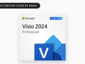 Promotional graphic for Microsoft Visio 2024 Professional.