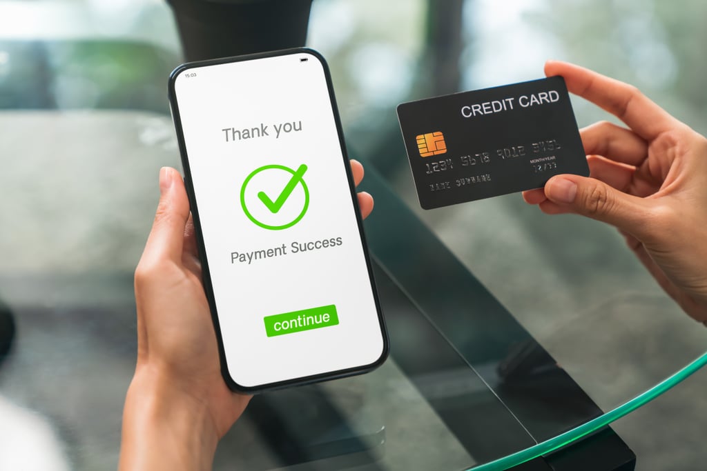 Online Payment Security: Definition, Types, & Best Practices