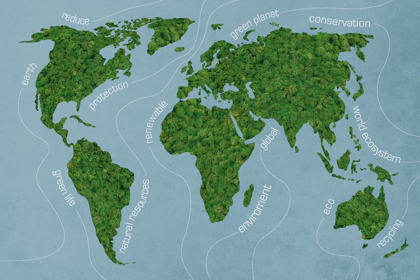 Scaling Beyond Borders: Establishing a Global Footprint