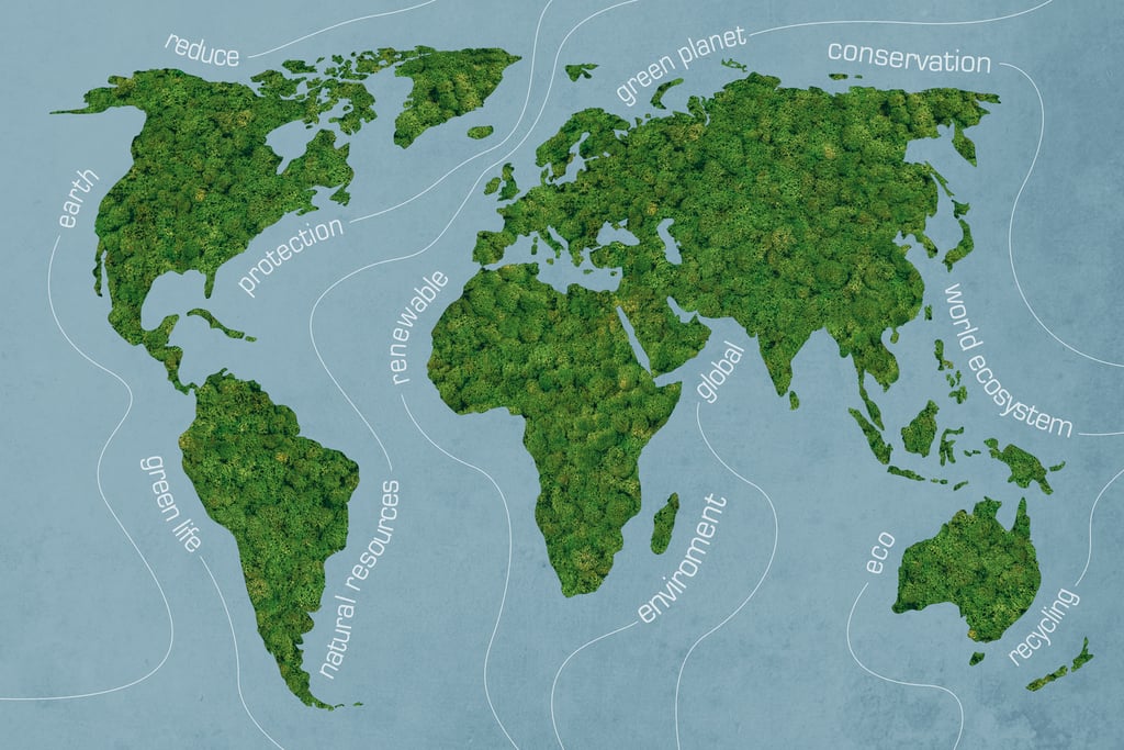 Scaling Beyond Borders: Establishing a Global Footprint