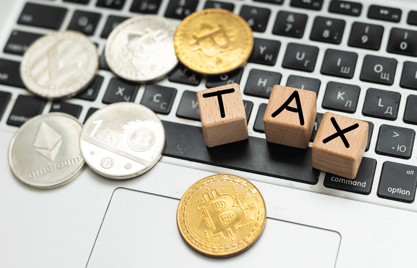 Best Crypto Tax Software