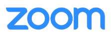 Zoom Logo