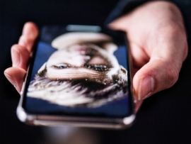 Lost Your iPhone? Beware Fake ‘Find My’ Messages Aiming to Steal Your Apple ID