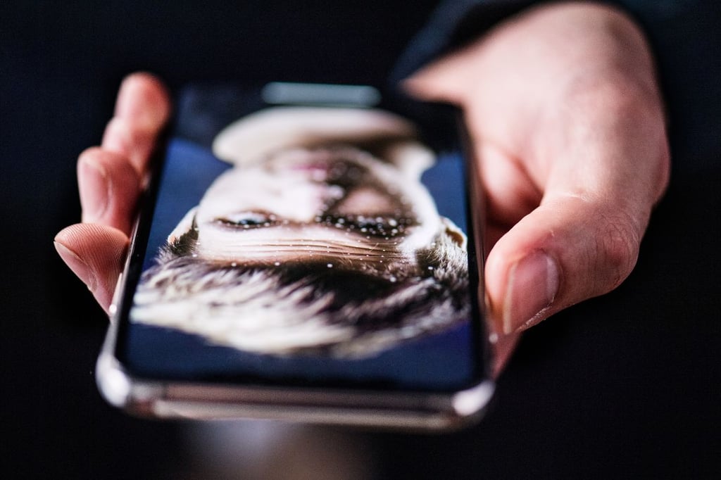 Lost Your iPhone? Beware Fake ‘Find My’ Messages Aiming to Steal Your Apple ID