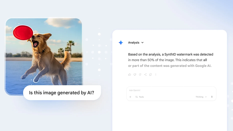AI analayzing image of a dog.