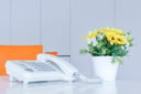 How to Get a Free Business Phone Number: A Step-by-Step Guide