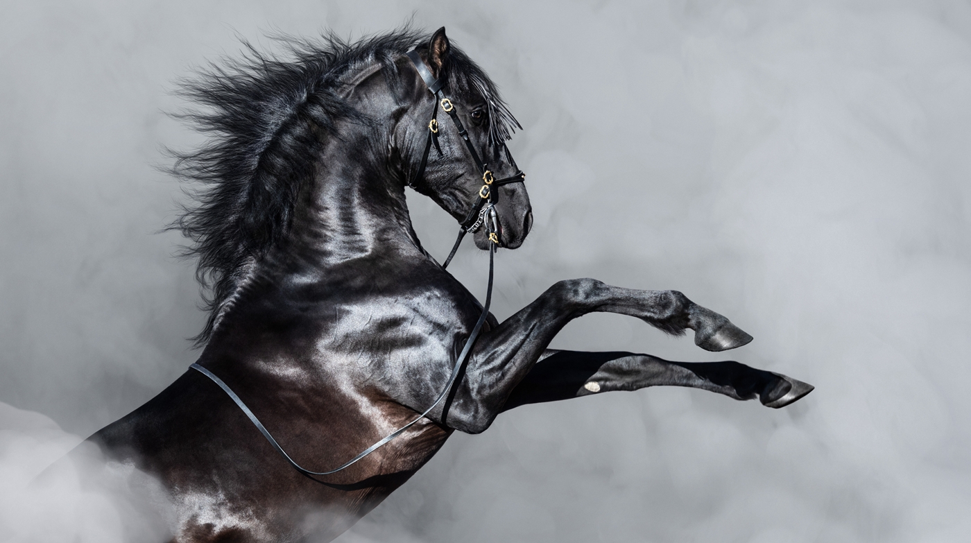 Lloyds Projects 100M Value From AI in 2026 - TechRepublic