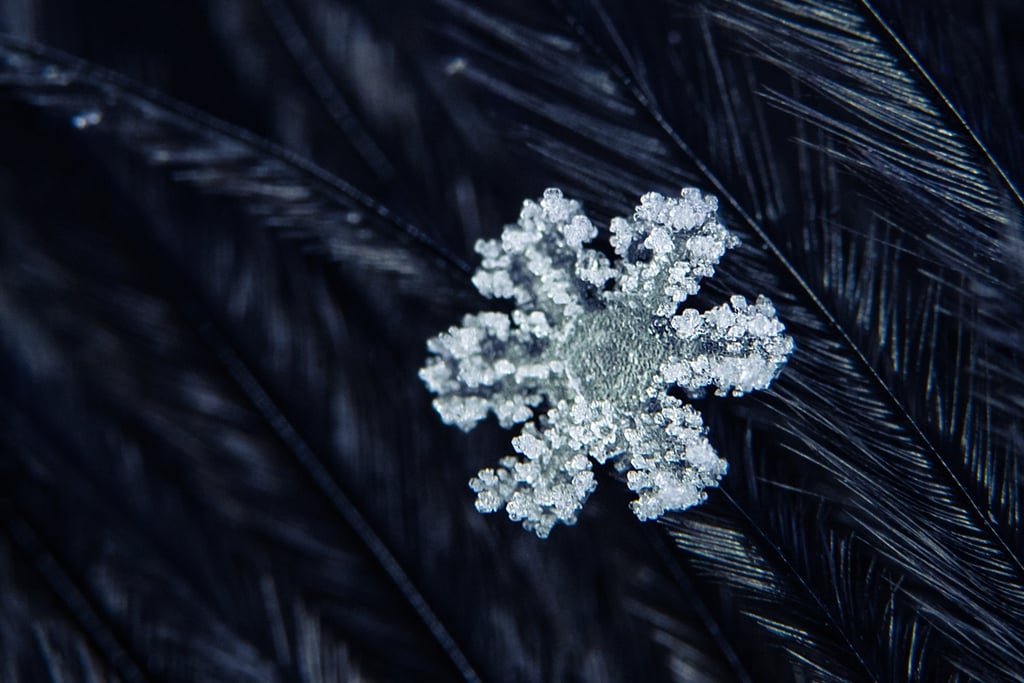 Snowflake to Acquire AI-Powered Observability Outfit Observe