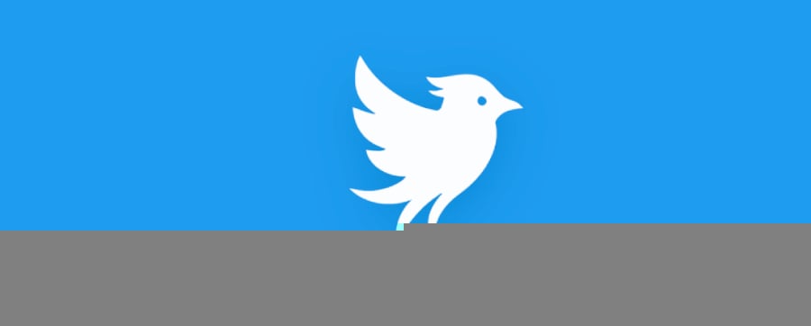 A Startup Brought Back ‘Twitter’ — Now X Is Suing