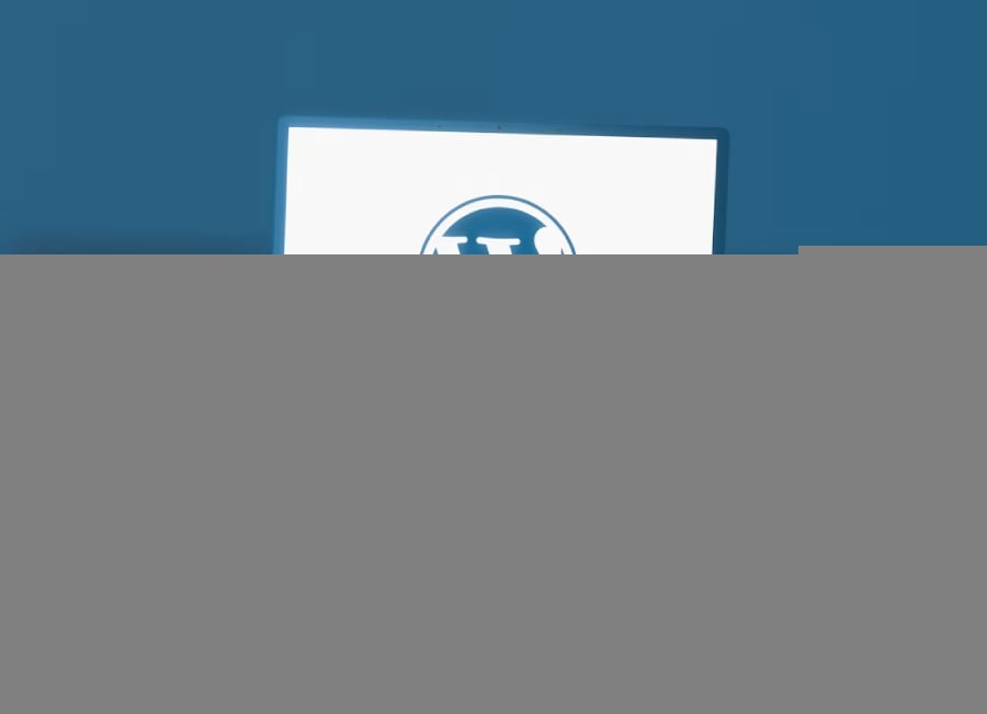 WordPress Bets on Its Future: Students Get a Free Plan for 12 Months