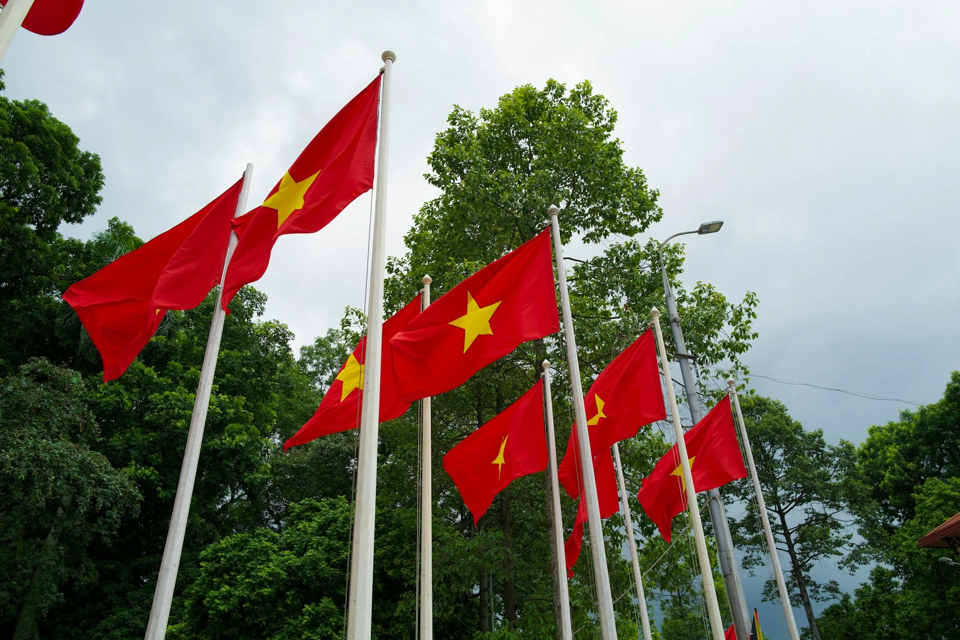 Vietnam Offers Businesses About $114K for AI Projects — Who Qualifies?