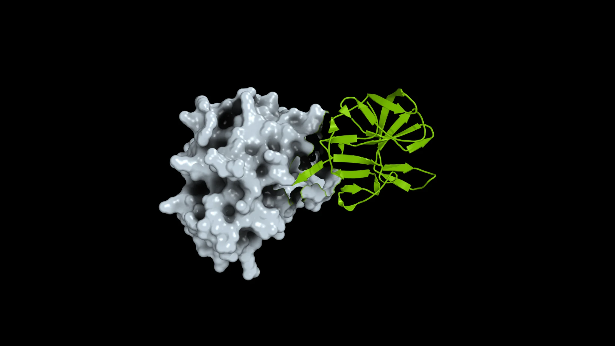 NVIDIA Releases Open Viral Protein Dataset and BioNeMo Pipeline
